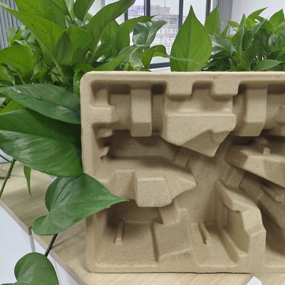 Good price L'usine de moulage de pâte fournit directement une base d'emballage respectueuse de l'environnement pour le petit appareil ménager, la cuisinière à vapeur portative. en ligne