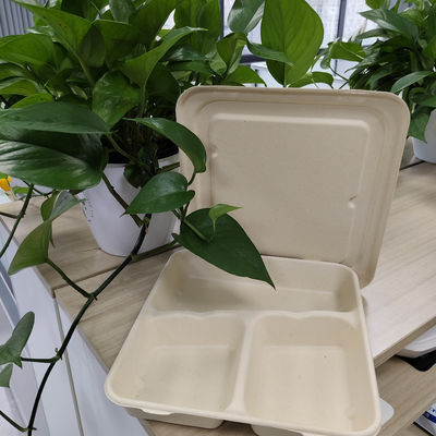Good price Directly supplied by Chinese manufacturers. Disposable environmentally friendly pulp-molded lunch boxes are made of sterile food-grade plant fibers and are biodegradable. online