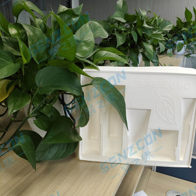 Good price Direkt aus der Fabrik geliefert, weiße Zellstoffformung, hochwertige Kosmetik- und Hautpflegeprodukte, umweltfreundlich und biologisch abbaubar. Online